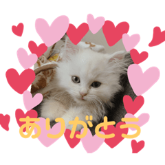 Bunchan's stamp