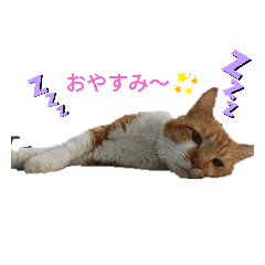 HIKARI_20200503172735