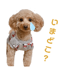 mochi_20200504022442