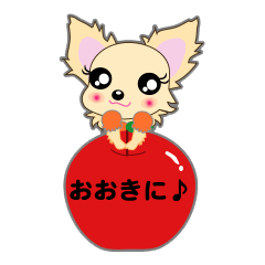 Chihuahua of Kansai dialect