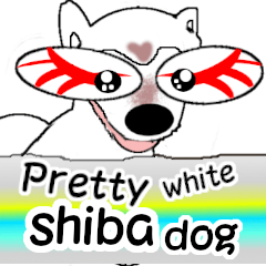 Pretty Shiba Inu(dog) Vol5