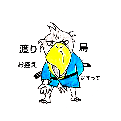 ハシビロコーBird