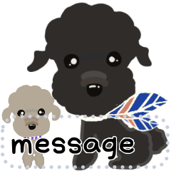 poodle message 1