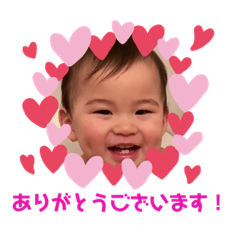 sumire_amp1253_ja186_jagtjg15