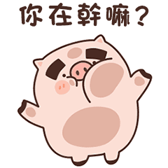 Thick-browed pig