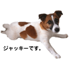 Asako_20200504111033