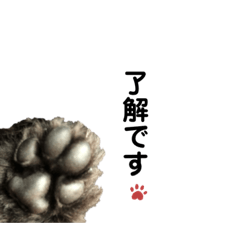 Mizuki_20200504152416