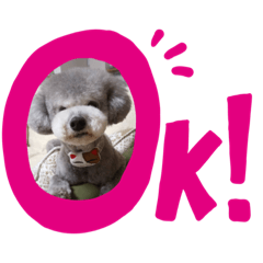 ayumi_20200504164659