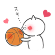 The cat loves basketball!