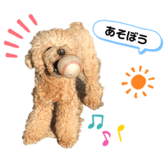 Nanami_20200504165737