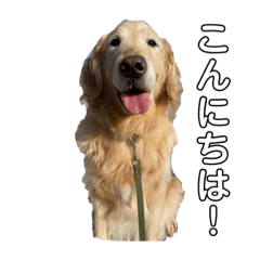 tomomi_20200504170851