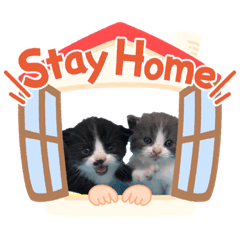 aozora_20200504122039