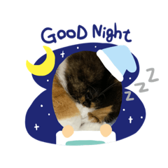 hikari_20200504183601