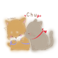 shiba lnu and black cat everyday