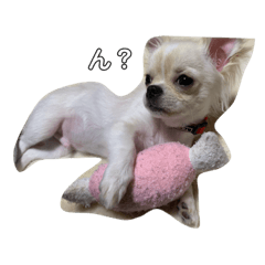 omochi_20200504232903