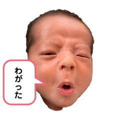 Rei_20200504233831