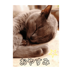 rina_20200505000439