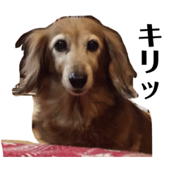 kurumi_20200504212137