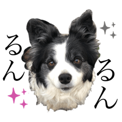 chisa_20200505045104