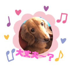 AKIKO_20200504190852