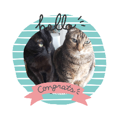 akiko_20200505111122