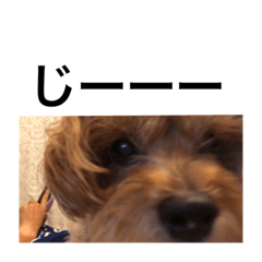 MARCH_20200505115628