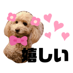 arisa_20200505030910