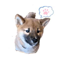 saori_20200505111948