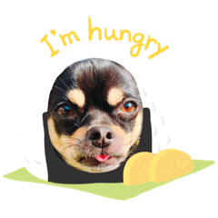 nanami_20200505122935