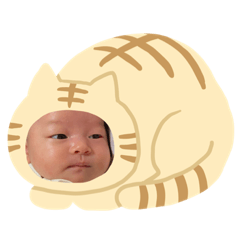 RYO_20200505134319mwpmailpwpmgmp