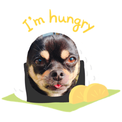 nanami_20200505135622