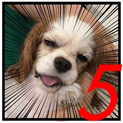 RINGO SAN's Sticker 5