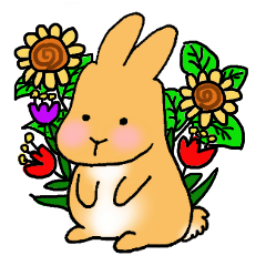 Roly-poly Rabbit