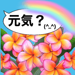 Plumeria blows corona stress away