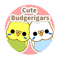 Cute Budgerigars