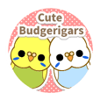 Cute Budgerigars