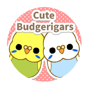 Cute Budgerigars