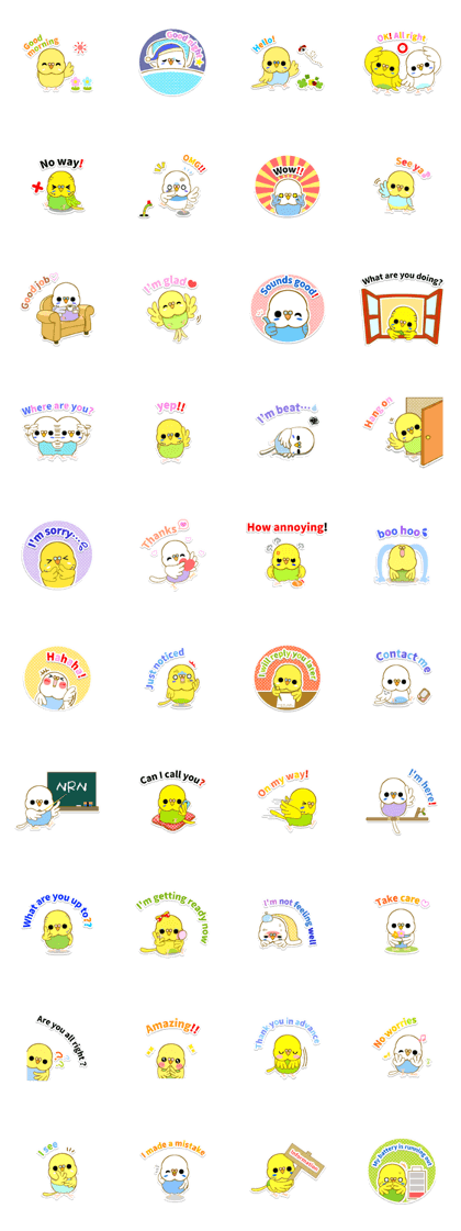 Cute Budgerigars