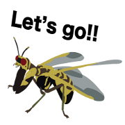 Cool Japanese insects