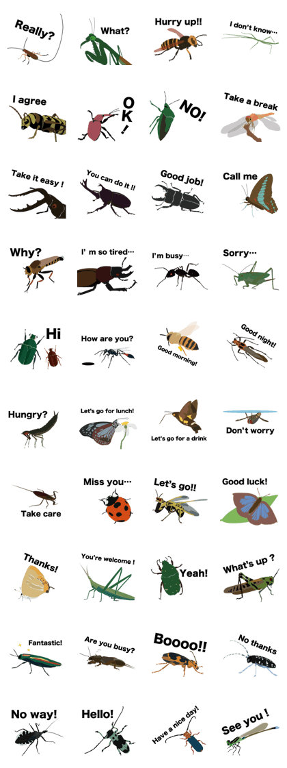 Cool Japanese insects
