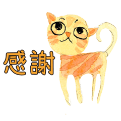 超實用對話可愛橘貓橘美短貓咪拿鐵