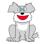 Schnauzer Jackie