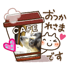 suzu_20200505170044