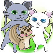 White cat Luna (English)
