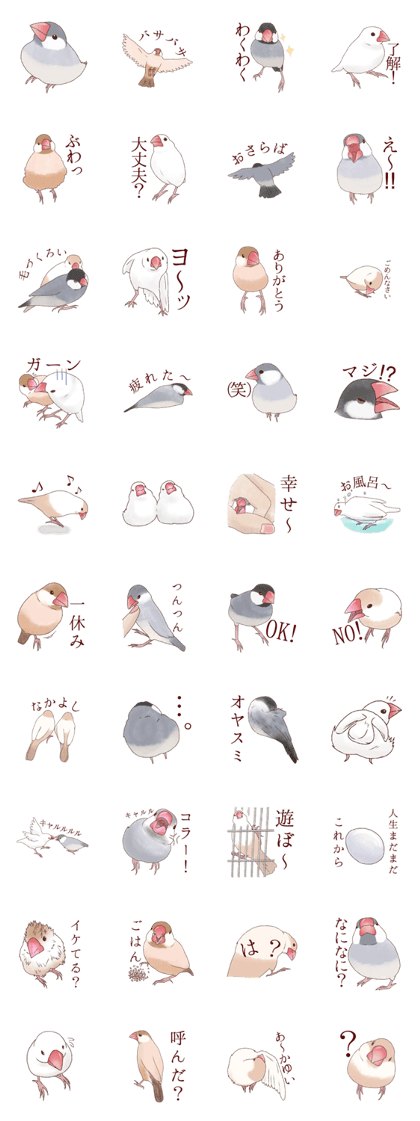 The paddybird which is loved