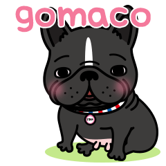 French bulldog Gomaco and Hana English