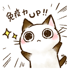 ちょこさん 2 目で気づかう猫 Line スタンプ Line Store ちょこさん 2 目で気づかう猫 Line スタンプ Line Store