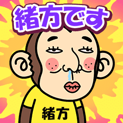 Ogata is a Funny Monkey2