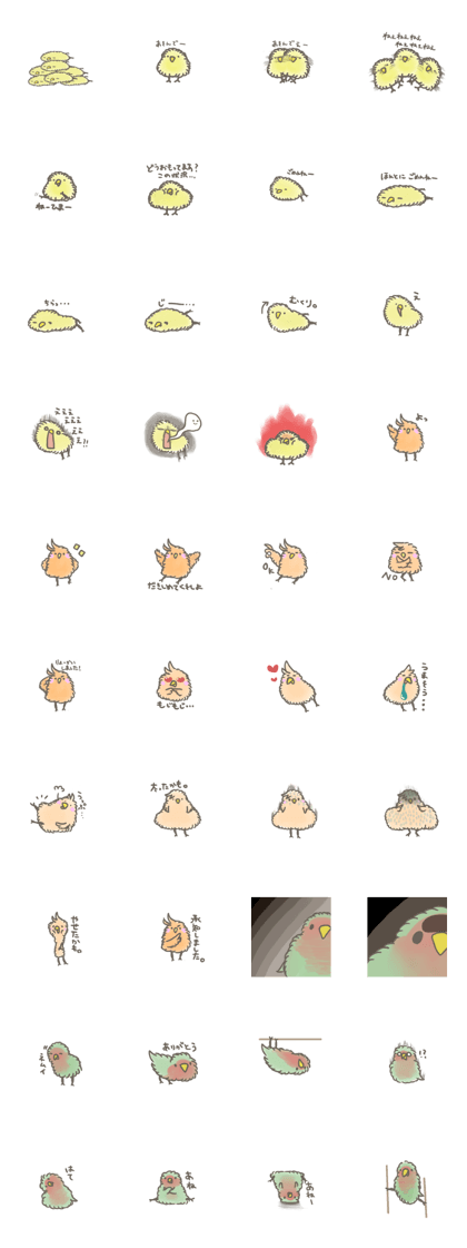 birdss
