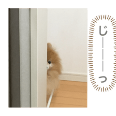 cocoa_20200505173918